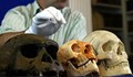 Учени откриха неизвестен прародител на човека