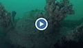Откриха германска подводница, потопена в Черно море
