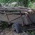 Хванаха бракониер на дървесина в гора край Ветово
