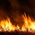 Голям пожар бушува край магистрала "Тракия"