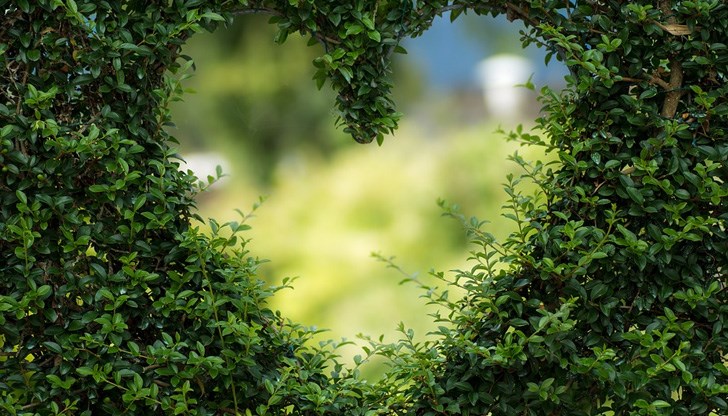 Освен директната фраза "Обичам те", има и други признаци, че ни обичат.... Освен директната фраза "Обичам те", има и други признаци, че ни обичат....