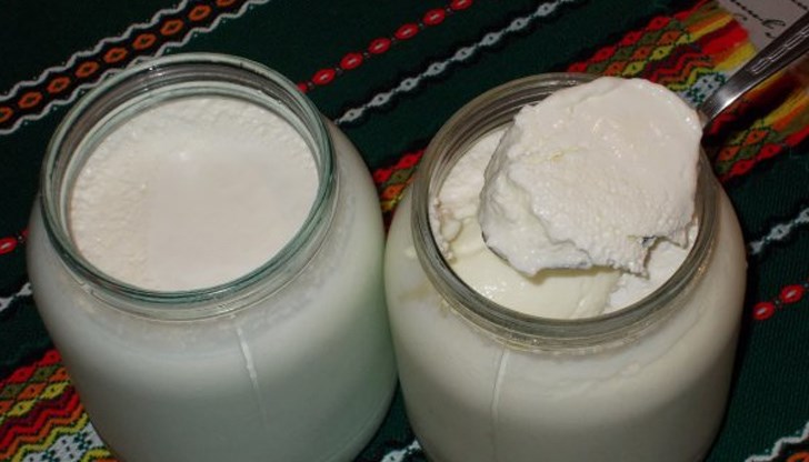 Бактерията, която са изследвали, е известната ни Лактобацилус, която откриваме в киселото мляко, наред с други храни Бактерията, която са изследвали, е известната ни Лактобацилус, която откриваме в киселото мляко, наред с други храни