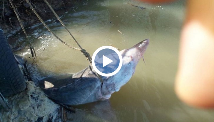 Прокуратурата го погна за за бракониерски улов