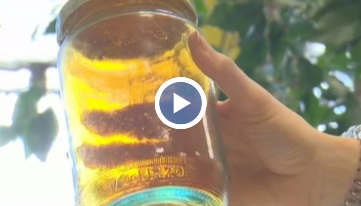 Д-р Валентин Симеонов показа как въздухът може да бъде тестван