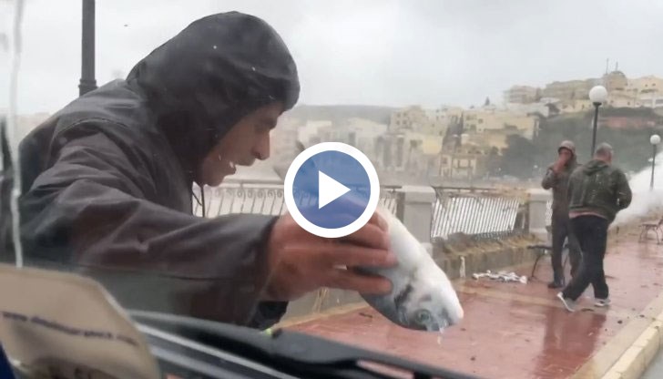 Мнозина успяха да се възползват от този дар на лошото време