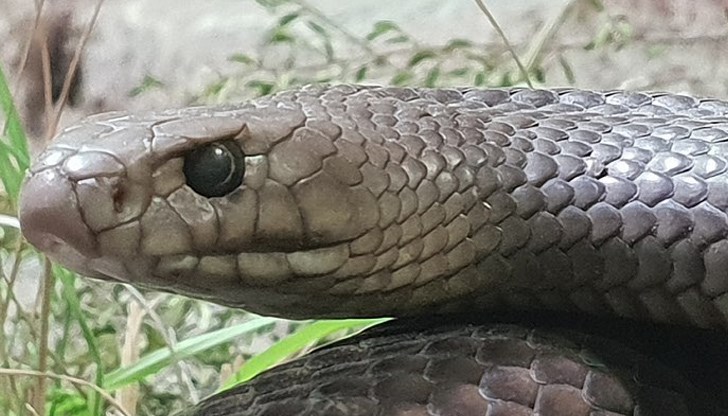 Това ще стане по време на конкурс на 14 февруари Това ще стане по време на конкурс на 14 февруари