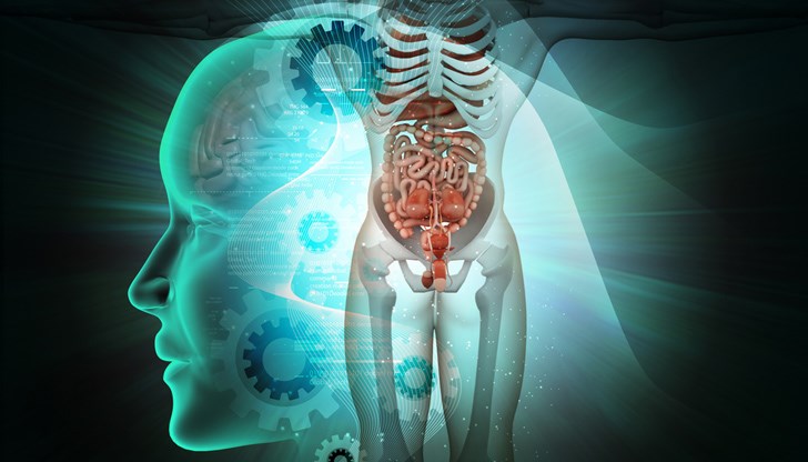 Телата ни са изпълнени с части, от които не се нуждаем