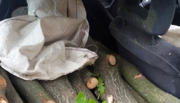 Ветовски полицаи са заловили поредният нарушител, извозвал незаконно дървен материал