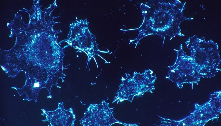 Образуванието е открито върху бедрената кост на древна костенурка Образуванието е открито върху бедрената кост на древна костенурка