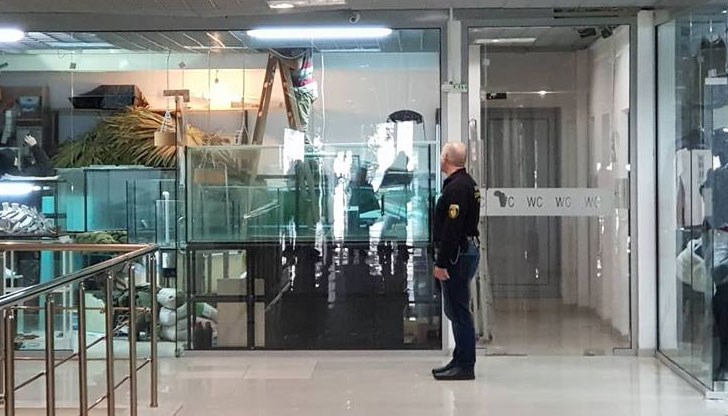 Огромната змия избяга от зоомагазин