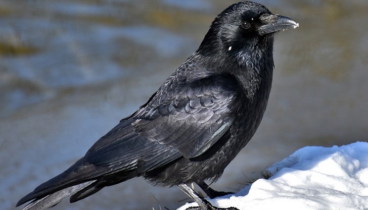 През следващата седмица времето постепенно ще се затопля