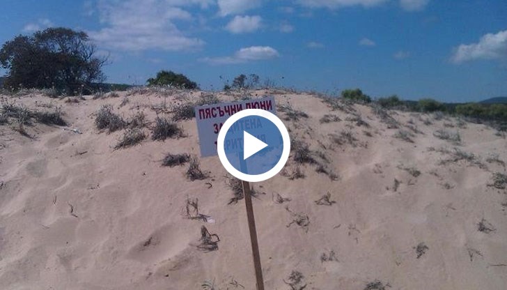 Забрана за плажуването върху дюни предвиждат одобрените от кабинета промени в Закона за Черноморското крайбрежие