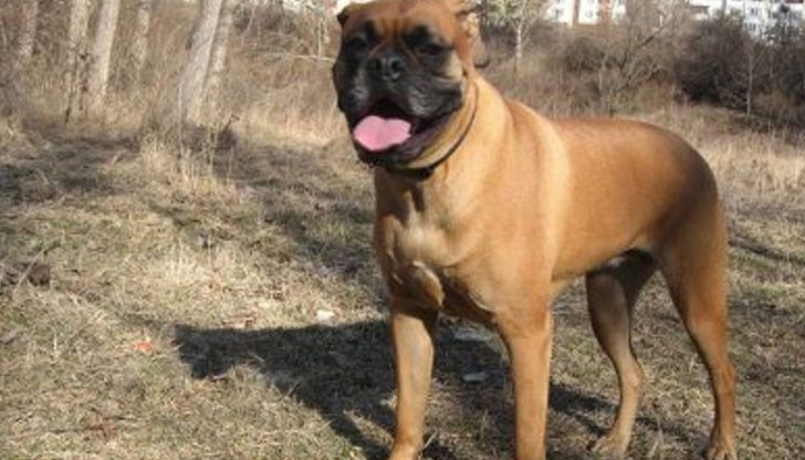 12-годишно хлапе задигна велосипед от двор на къща в квартал „Средна кула“ / Снимката е илюстративна 12-годишно хлапе задигна велосипед от двор на къща в квартал „Средна кула“ / Снимката е илюстративна