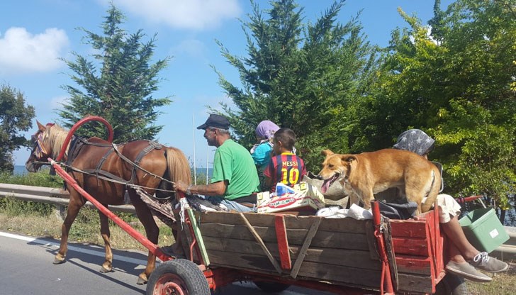 Хората протестират срещу бездействието на институциите и настояват за пълна забрана на движението на каруците по пътищата Хората протестират срещу бездействието на институциите и настояват за пълна забрана на движението на каруците по пътищата