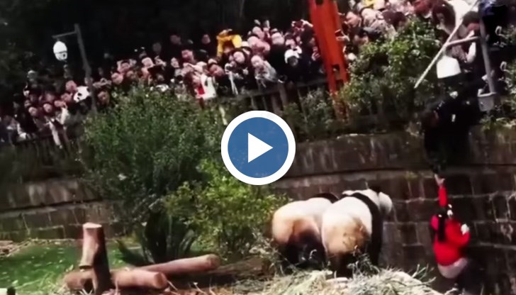 8-годишното момиченце полетяло от подпорна стена, върху която се изкатерило