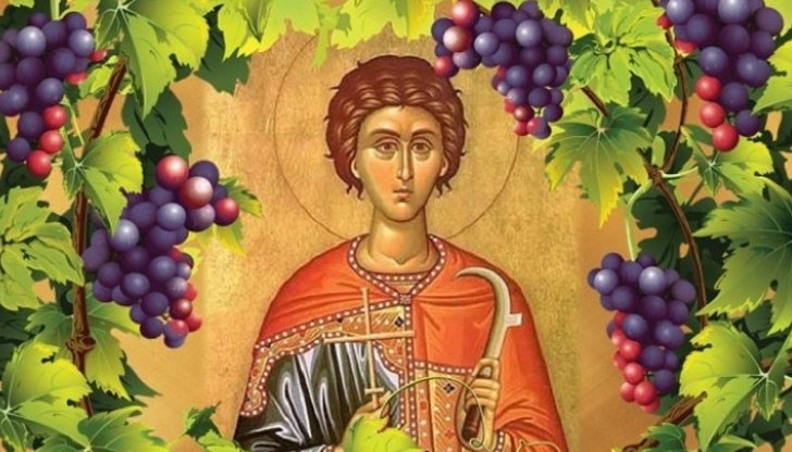 Според българските народни традиции Св. Трифон е покровител на лозарите, винарите и кръчмарите