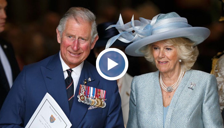 Принцеса Даяна е знаела за съществуването му, твърди той