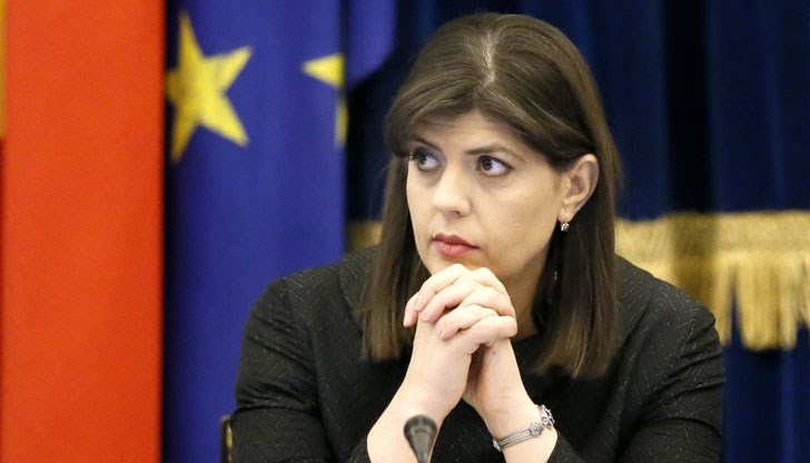 Заядливи въпроси й задаваха само няколко румънски депутати, на които тя отговори сдържано и достойно, докато повечето евродепутати от други държави й изразяваха възхита от смелостта срещу политическия натиск в родината й
