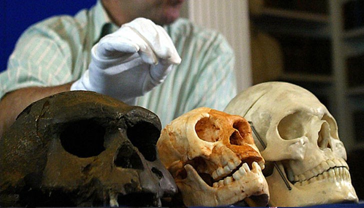 Гените му били близки до неандерталците и денисовците, като някои от тях са били наследени от съвременните хора