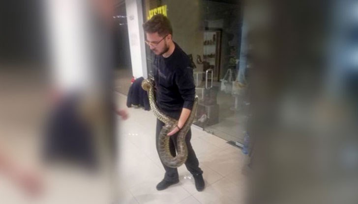 Боата, която се оказа анаконда предизвика редица забавни колажи в социалната мрежа