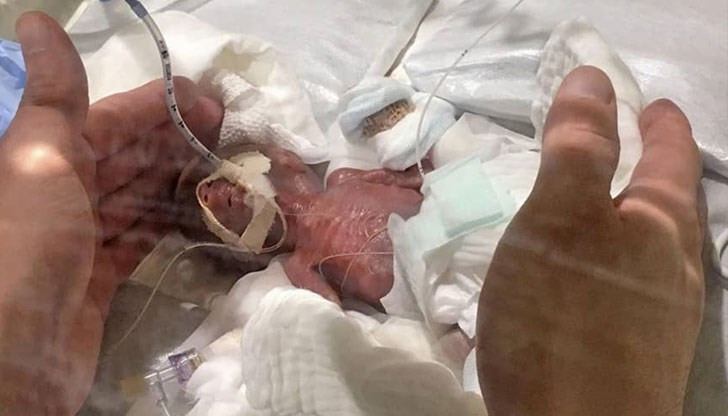 Отначало то е било толкова малко, че се е събирало в две длани