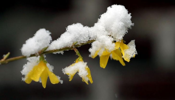 Прогноза за времето по десетдневия Прогноза за времето по десетдневия