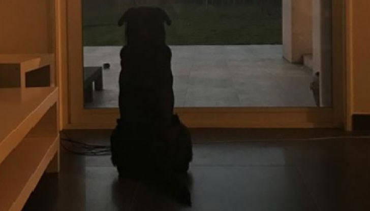 Сестрата на изчезналия футболист публикува емоционална снимка в социалните мрежи Сестрата на изчезналия футболист публикува емоционална снимка в социалните мрежи