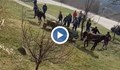 Разследват жестокостта над коне в Русе