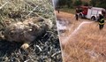Животни изгарят живи в запалени стърнища