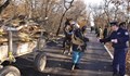 Засякоха две каруци да изнасят дърва във Ветово