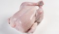Цената на охладеното пиле на едро е най-висока в Русе