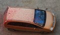 Заливат коли с боя във Велико Търново