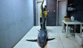 Турски рибари хванаха 500-килограмова акула в Средиземно море