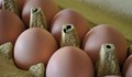 Цената на яйцата гони 40 стотинки
