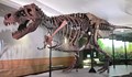 Тиранозавър, открит в Канада, е най-големият в света