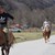 С традиционно надбягване с коне село Васильово отбеляза Тодоровден