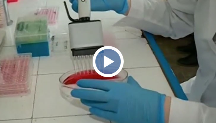 Учени от БАН търсят лек на коварната болест