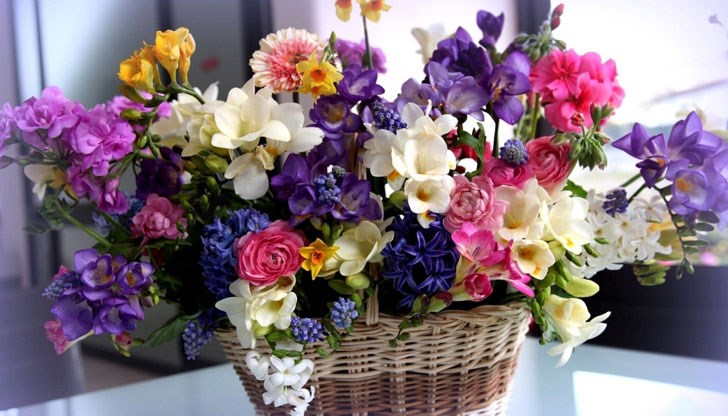 В навечерието на Международния ден на жената 8-ми март ви предлагаме няколко оригинални пожелания, с които да поздравите дамите