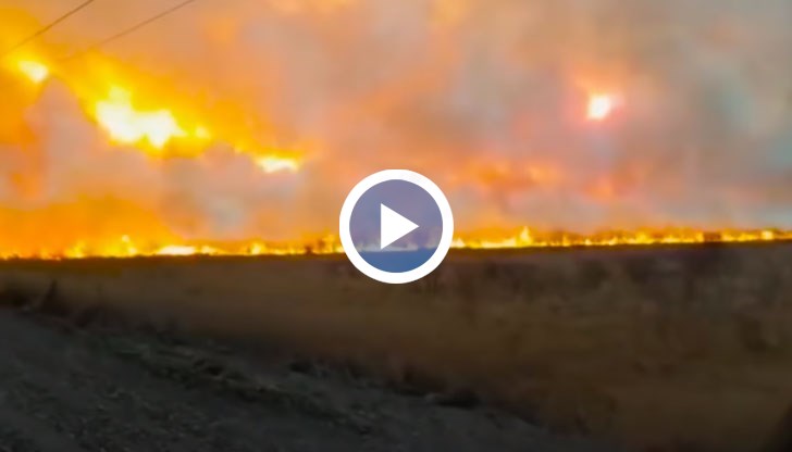От кадрите се вижда, че пламъците на места достигат височина няколко метра