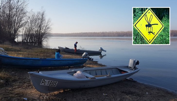 Пръскането в една община не решава проблема, ако съседните общини не вземат мерки