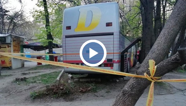 Автобус се заби на спирка в Пловдив, шофьорът почина