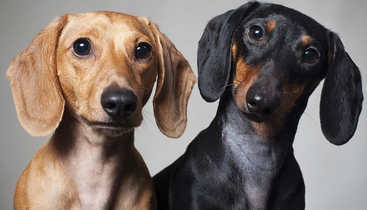 Така могат да го предупредят за припадъка Така могат да го предупредят за припадъка