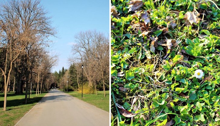 Природата се събужда за живот