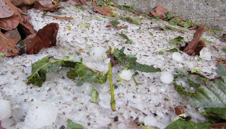 Правят ново държавно предприятие Правят ново държавно предприятие