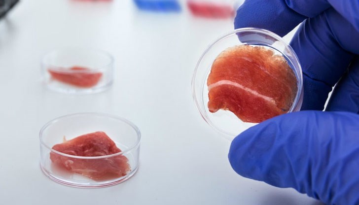 Месото расте върху стръкчета трева Месото расте върху стръкчета трева