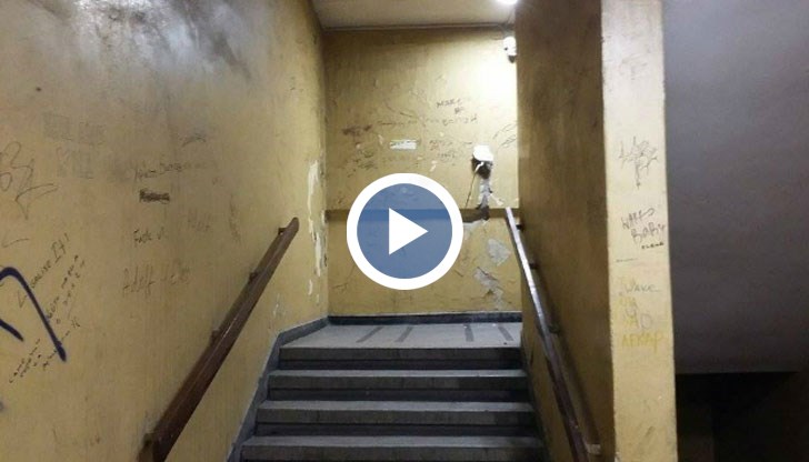 Граждани и организации искат по-добър контрол за плащането на таксите за вход