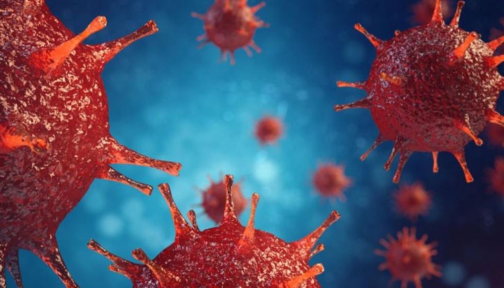 Бактериофагите - вируси, които заразяват бактерии - са навсякъде Бактериофагите - вируси, които заразяват бактерии - са навсякъде