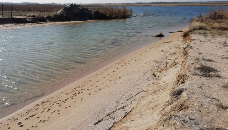 В момента се разрушава езерото, това е срамно дело. Нарушени са поне пет закона и три европейски директиви. Ще има загуба за природата, но всичко е обратимо, заявиха от асоциацията на парковете В момента се разрушава езерото, това е срамно дело. Нарушени са поне пет закона и три европейски директиви. Ще има загуба за природата, но всичко е обратимо, заявиха от асоциацията на парковете