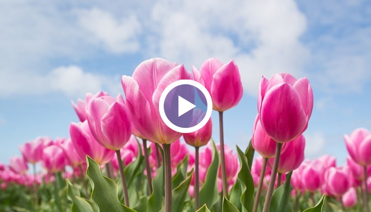 Очаква ни динамичен април с повече валежи около Великден