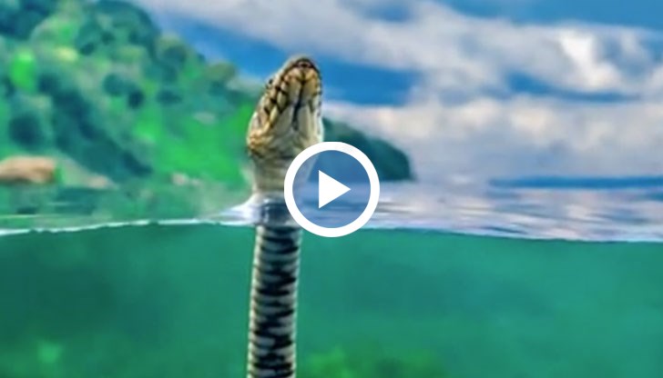 Тодор Димитров преследвал кадъра в продължение на 3 години